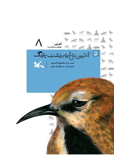 آخرین زاغ بور دشت بزرگ